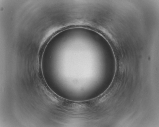 X0000089401270200706151218