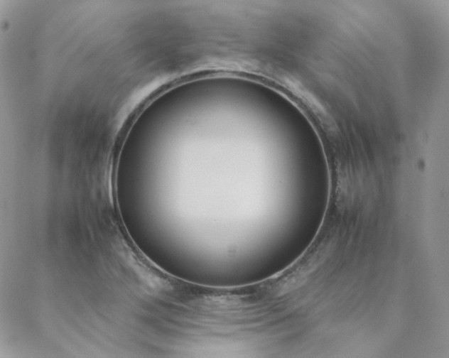 X0000089401272200706151218