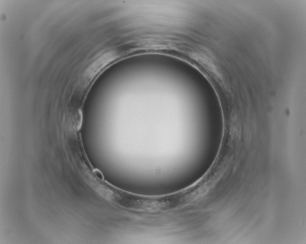 X0000089401273200706151218