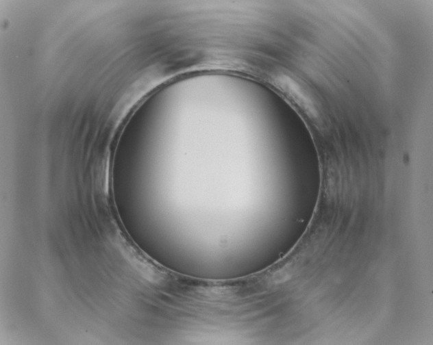 X0000089401276200706151217