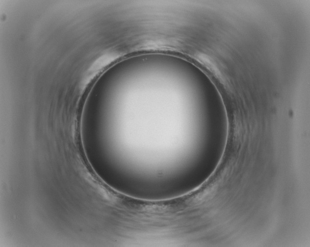 X0000089401277200706151217