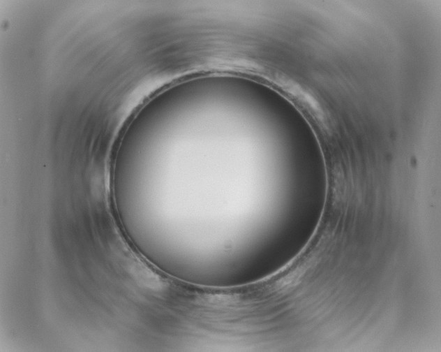 X0000089401280200706151217