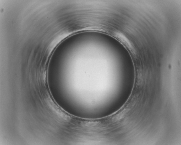 X0000089401284200706151217