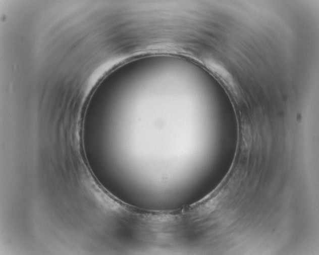 X0000089401288200706151217