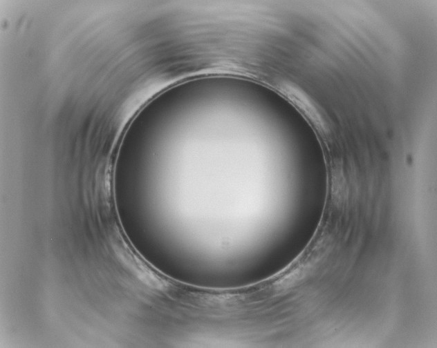 X0000089401292200706151217