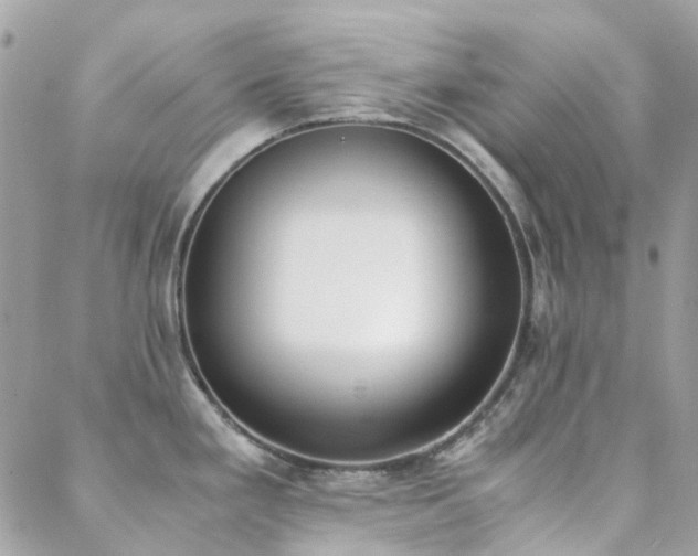 X0000089401293200706151217