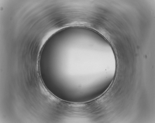 X0000089401296200706151217