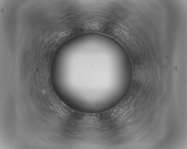 X0000089401297200706151216