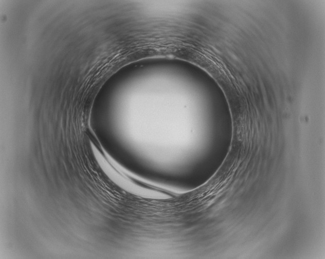 X0000089401298200706151216
