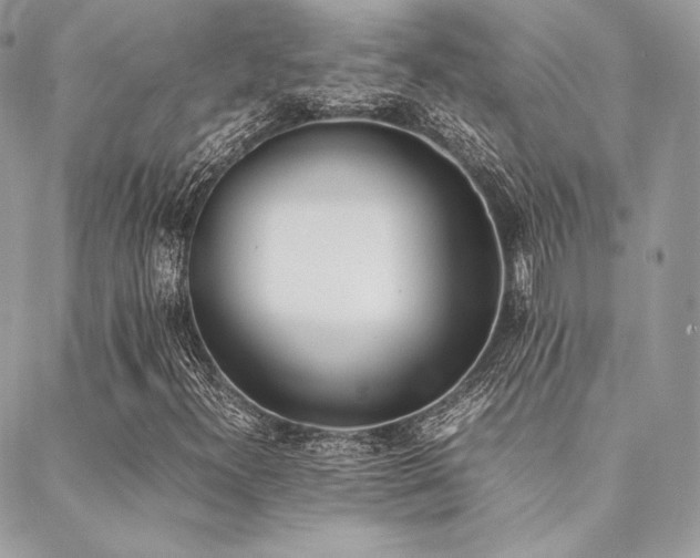 X0000089401300200706151216