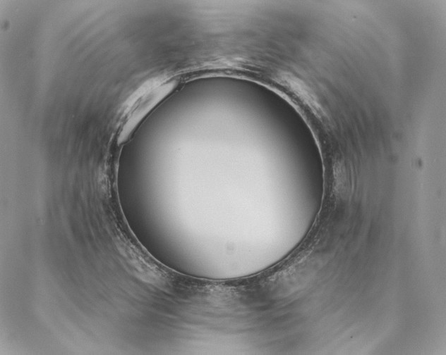 X0000089401308200706151217