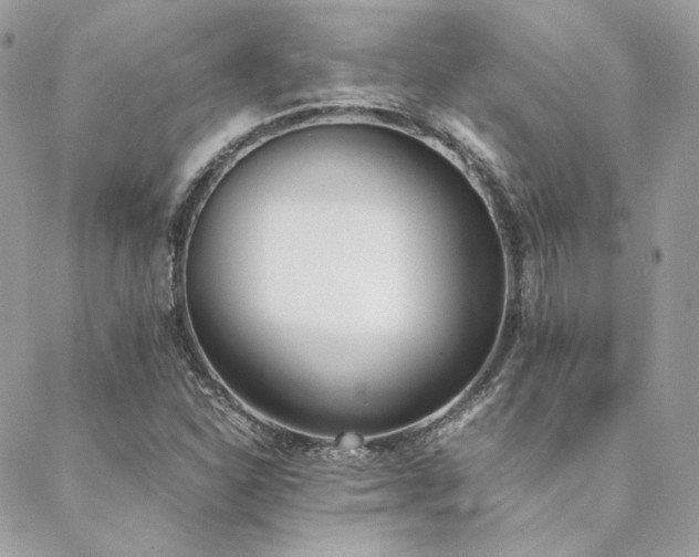 X0000089401310200706151217