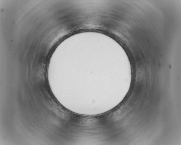 X0000089401314200706151217
