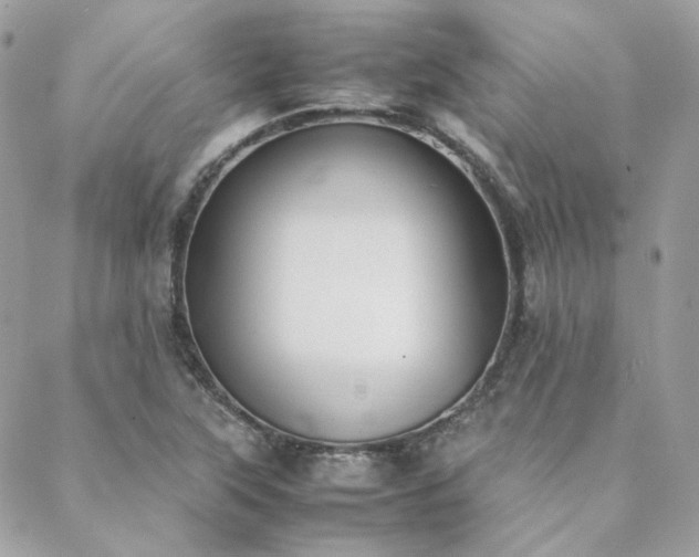 X0000089401315200706151217