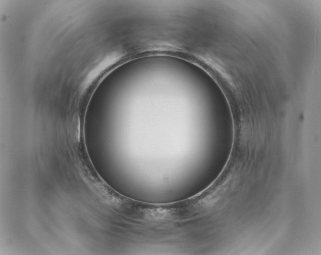 X0000089401317200706151217