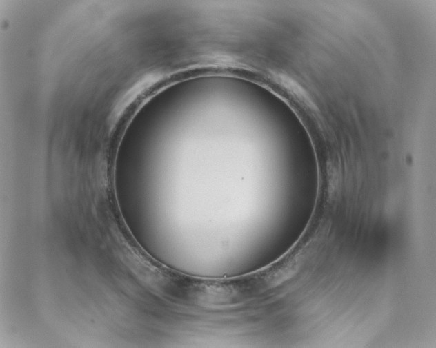 X0000089401318200706151217