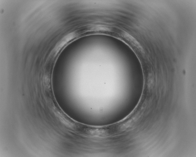 X0000089401321200706151217