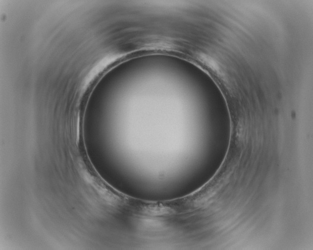 X0000089401323200706151217