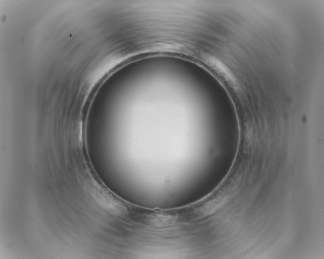 X0000089401324200706151217