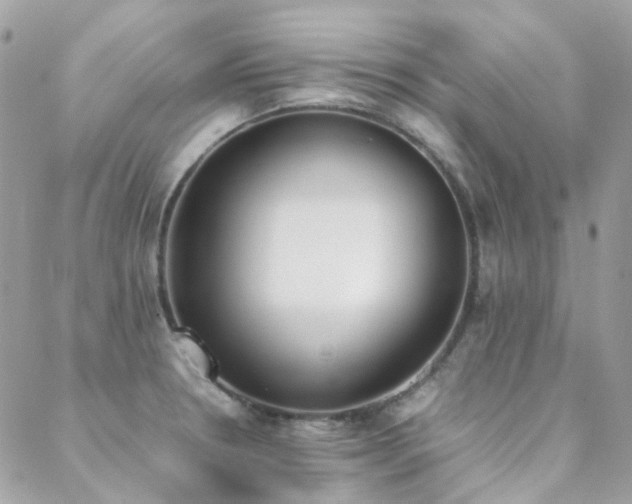 X0000089401330200706151217