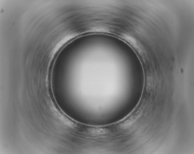 X0000089401331200706151217