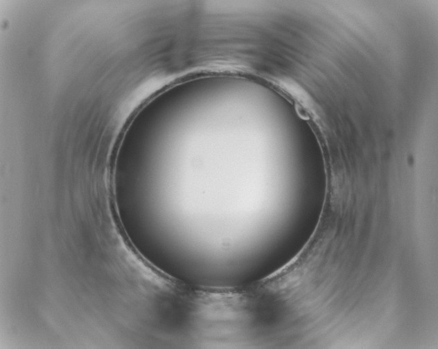 X0000089401335200706151217