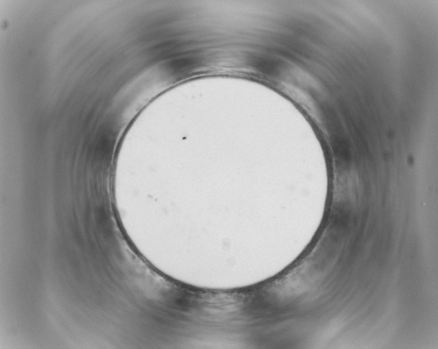 X0000089401338200706151217