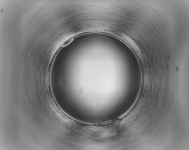 X0000089401340200706151217