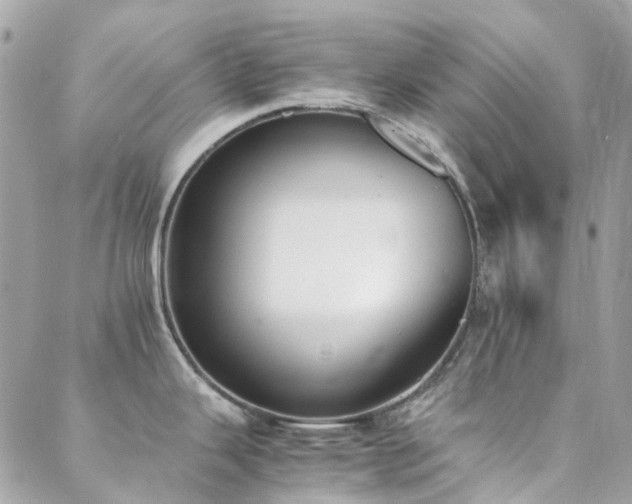 X0000089401343200706151217