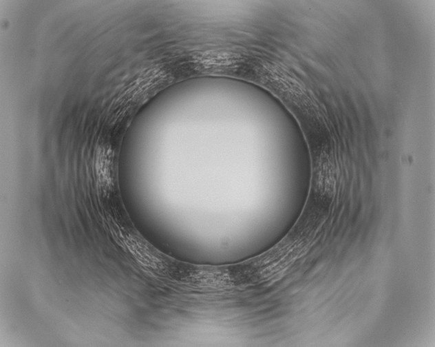 X0000089401346200706151216