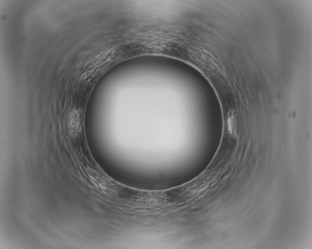 X0000089401347200706151216