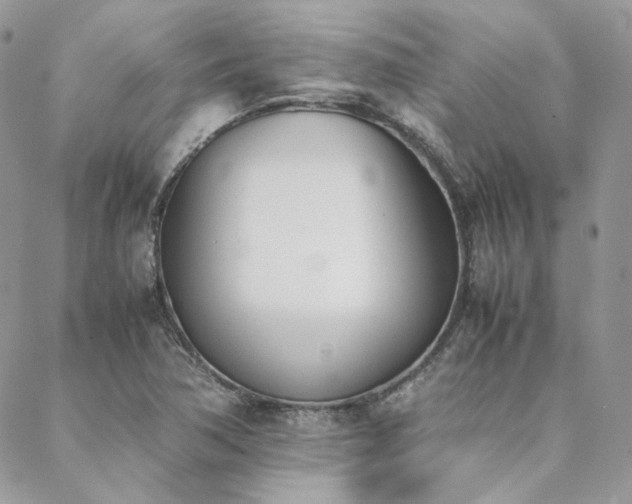 X0000089401362200706151216
