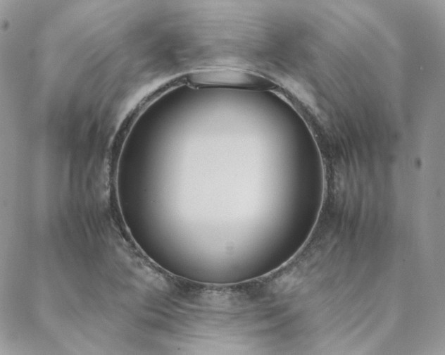 X0000089401364200706151216