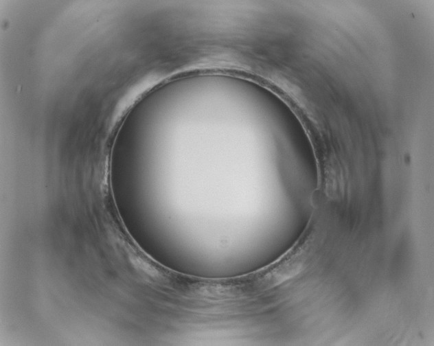 X0000089401366200706151216