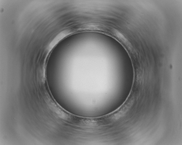X0000089401370200706151216