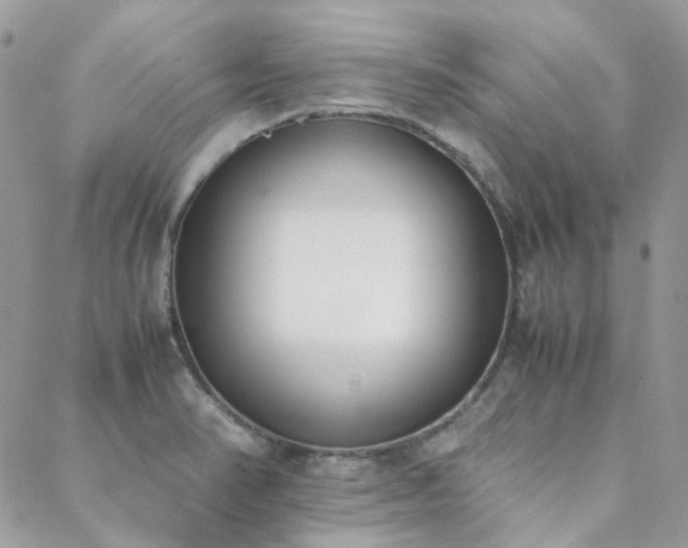 X0000089401374200706151216