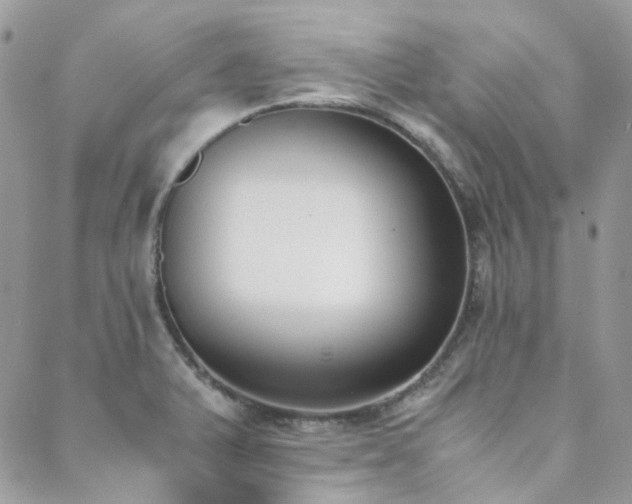 X0000089401375200706151216