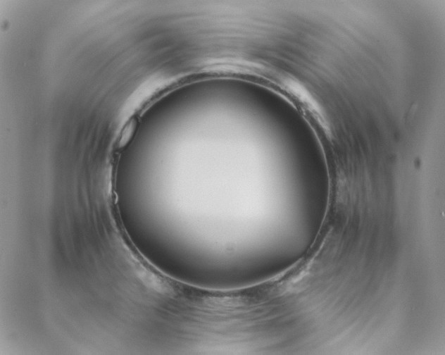 X0000089401376200706151216