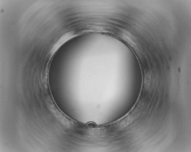 X0000089401378200706151216