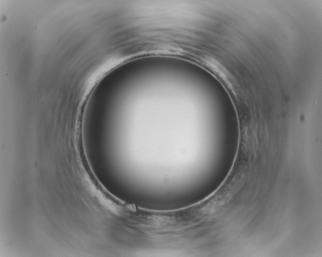 X0000089401379200706151216