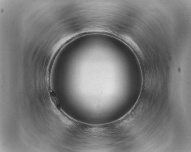 X0000089401380200706151216