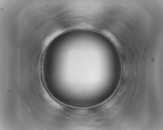 X0000089401387200706151216
