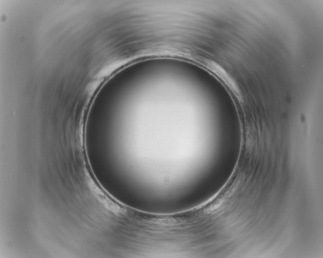 X0000089401388200706151216