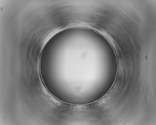 X0000089401390200706151216