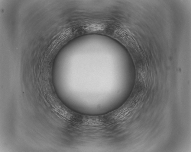 X0000089401393200706151215