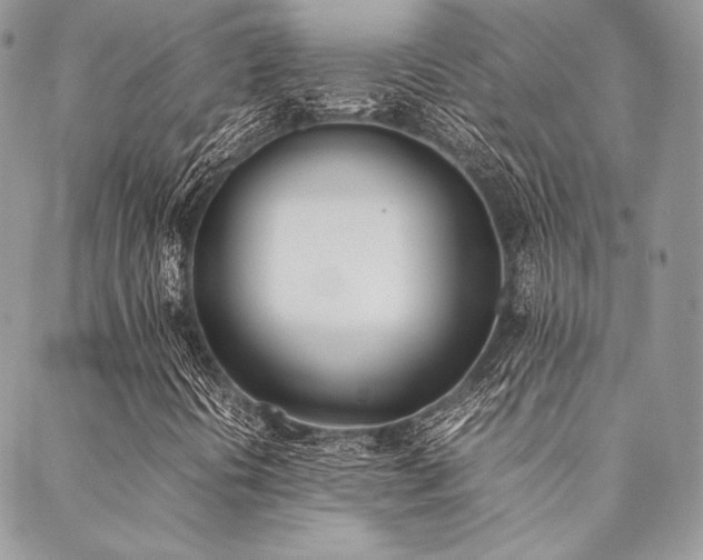 X0000089401394200706151215