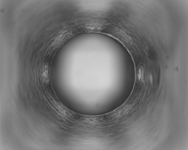 X0000089401396200706151215