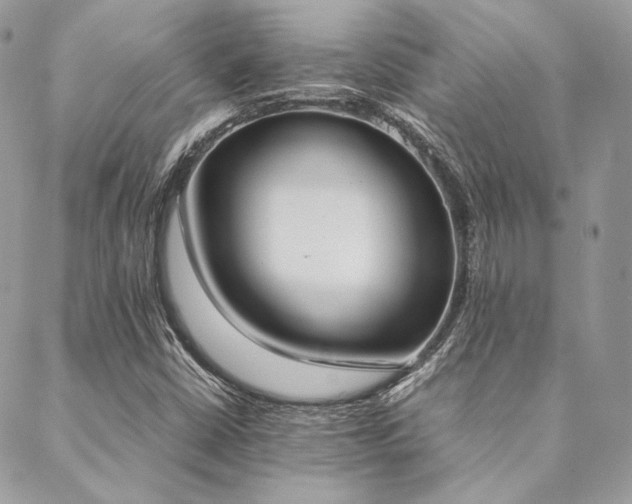 X0000089401402200706151215