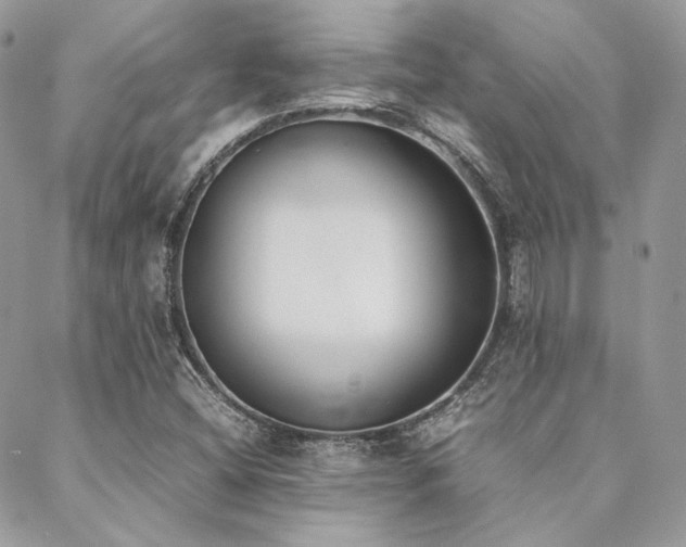X0000089401404200706151215