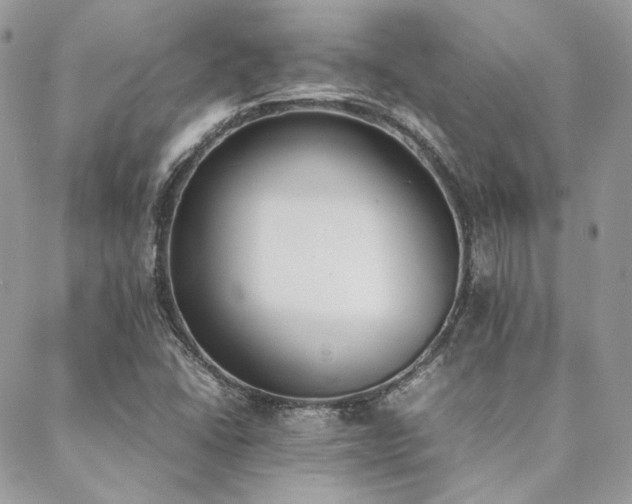X0000089401406200706151215